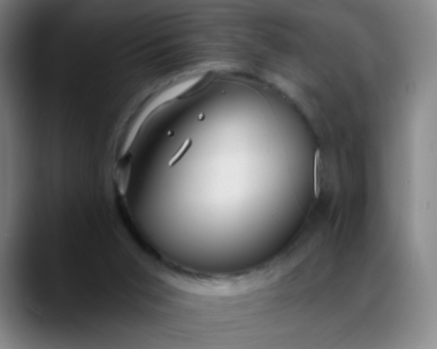 X0000088710015200706141457