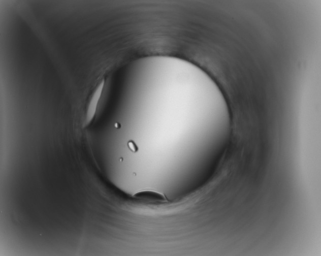 X0000088710017200706141457