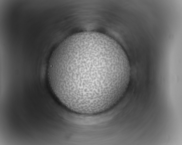 X0000088710018200706141457