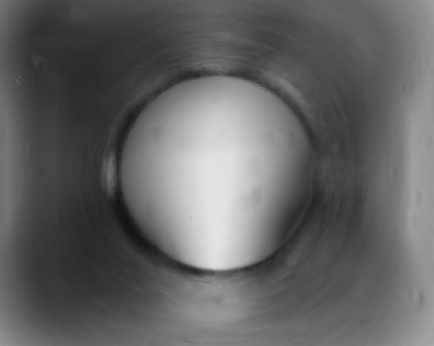 X0000088710020200706141457