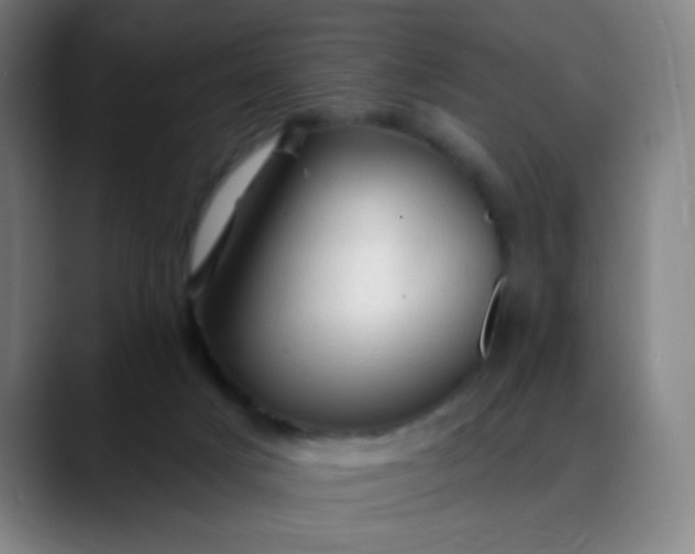 X0000088710025200706141457