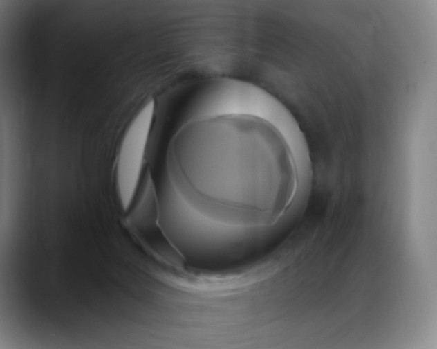 X0000088710027200706141457