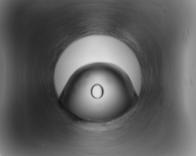 X0000088710029200706141457