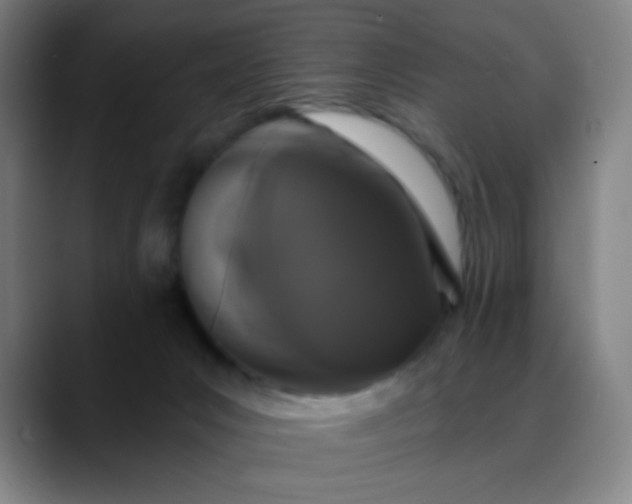 X0000088710031200706141457