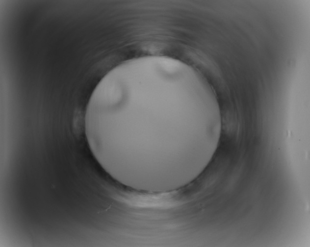 X0000088710036200706141457