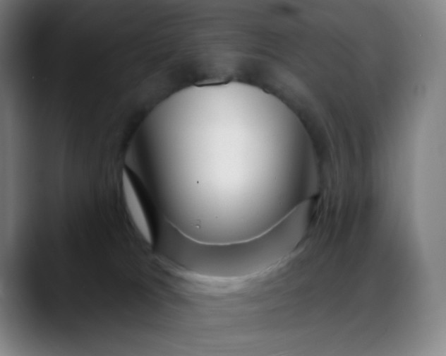 X0000088710037200706141457