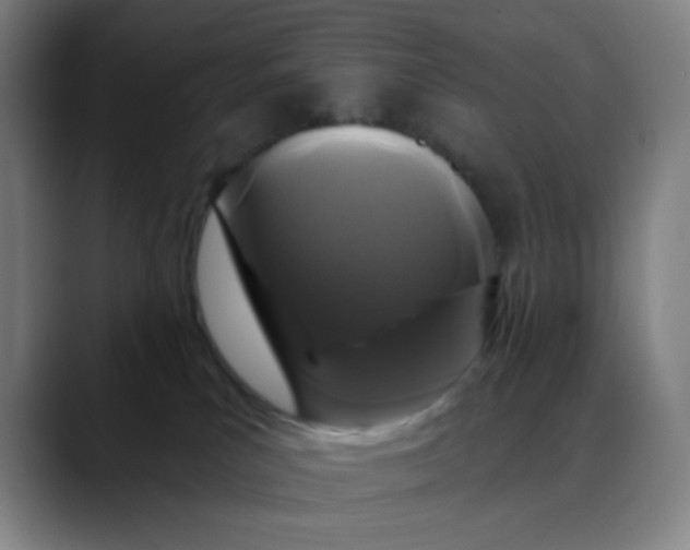 X0000088710039200706141456