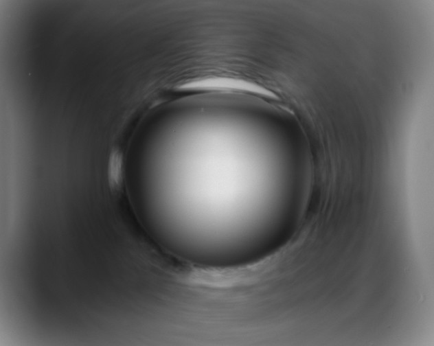 X0000088710041200706141456