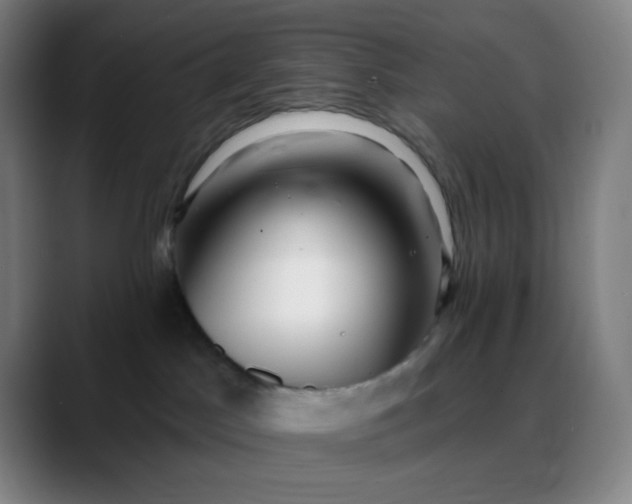 X0000088710045200706141456