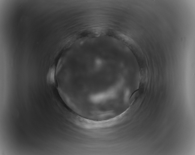 X0000088710047200706141456