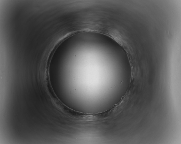 X0000088710050200706141456