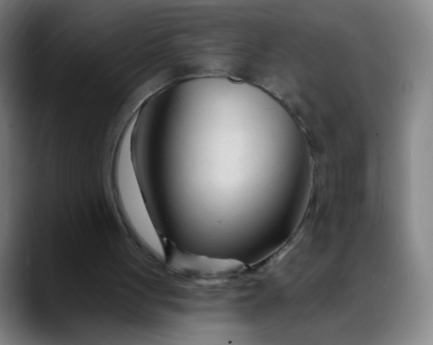 X0000088710051200706141456