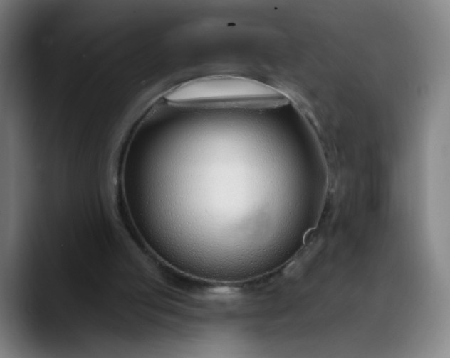 X0000088710053200706141456