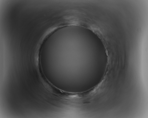 X0000088710054200706141456