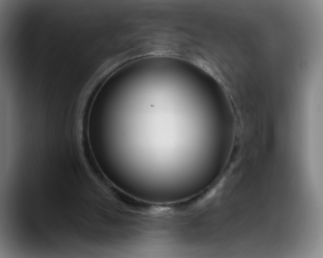 X0000088710055200706141456