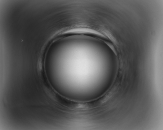 X0000088710060200706141456