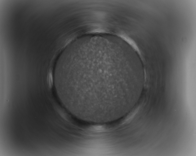 X0000088710061200706141456