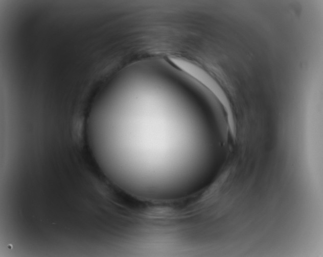 X0000088710066200706141456