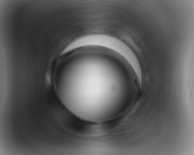 X0000088710068200706141456