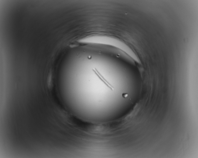 X0000088710074200706141456