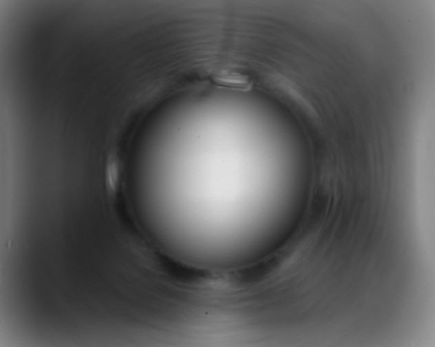 X0000088710076200706141456