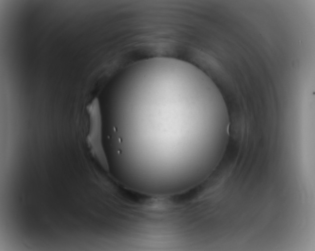 X0000088710077200706141456