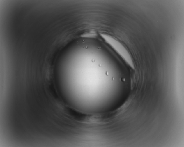 X0000088710078200706141456