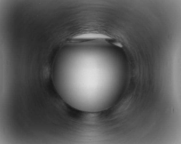 X0000088710081200706141456