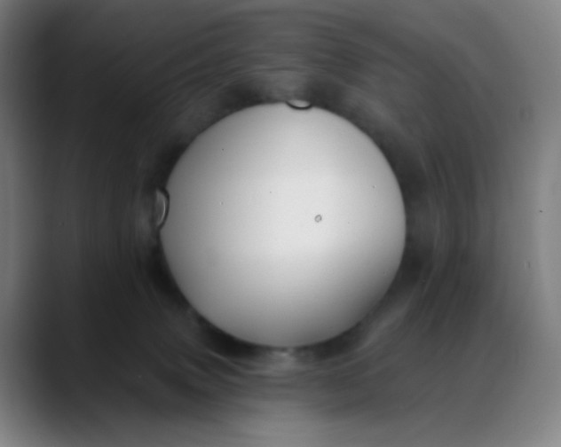 X0000088710083200706141456