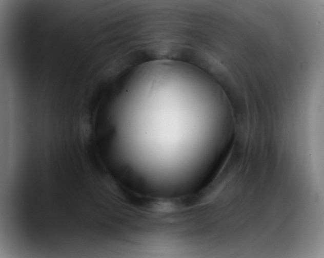 X0000088710085200706141456