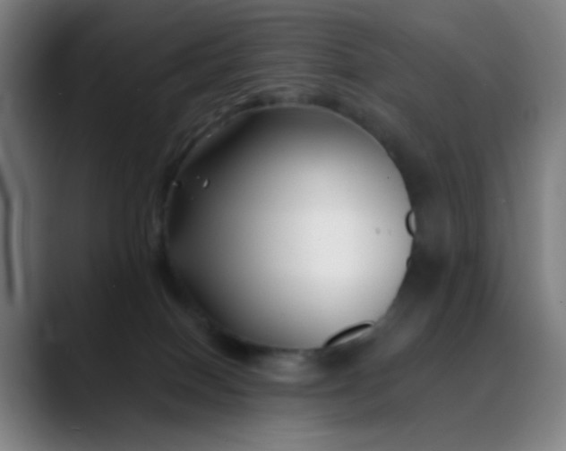 X0000088710086200706141456