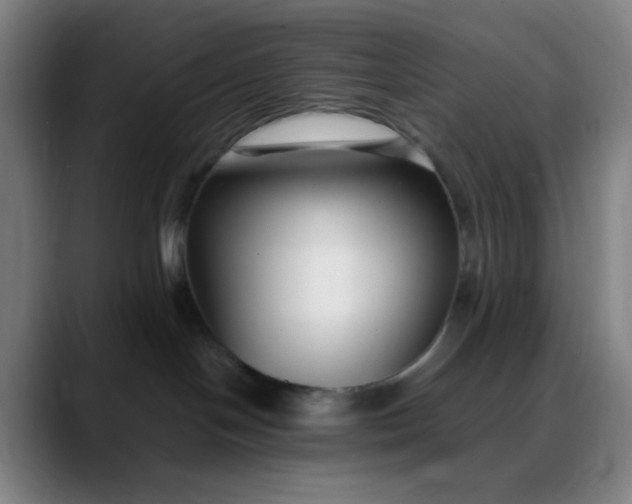 X0000088710094200706141456