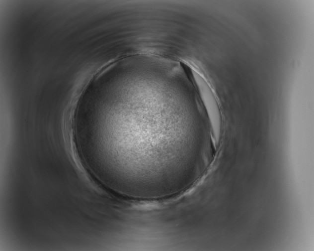 X0000088710097200706141456