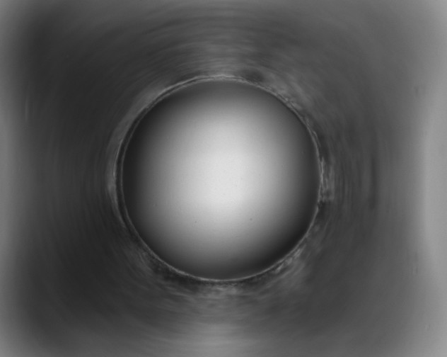 X0000088710099200706141456