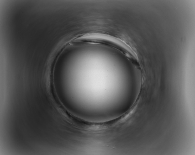 X0000088710101200706141456