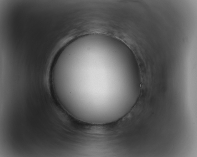 X0000088710104200706141456