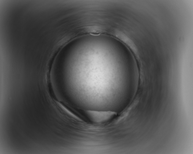 X0000088710105200706141456