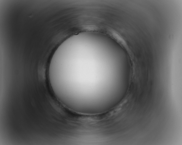 X0000088710106200706141456