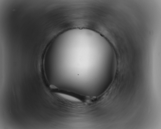 X0000088710107200706141456