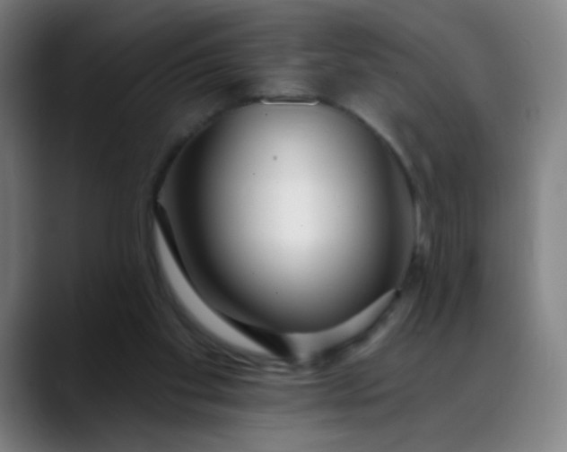 X0000088710109200706141456