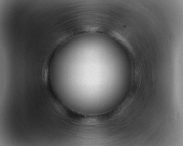 X0000088710110200706141456