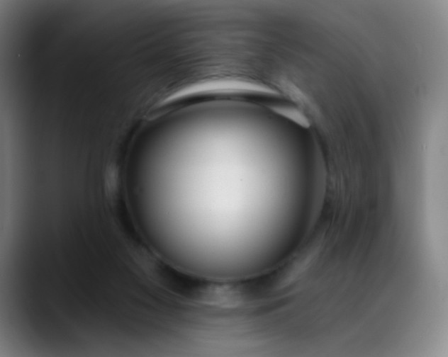 X0000088710117200706141455