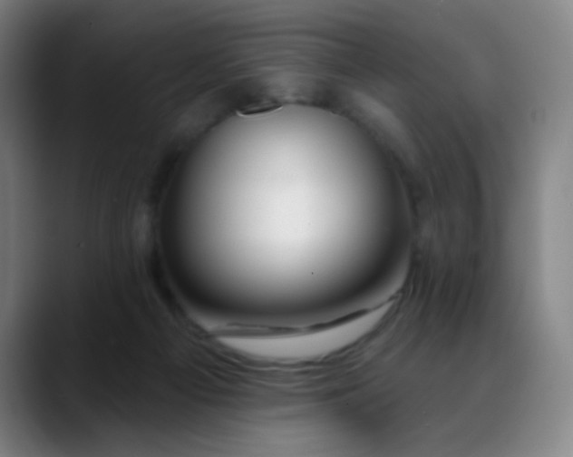 X0000088710121200706141455