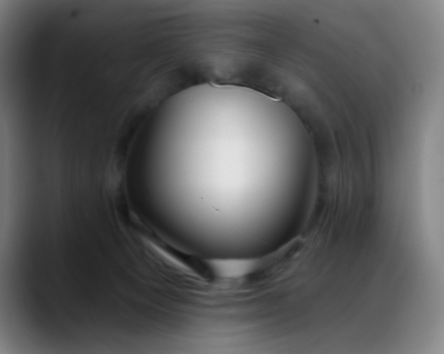 X0000088710129200706141455