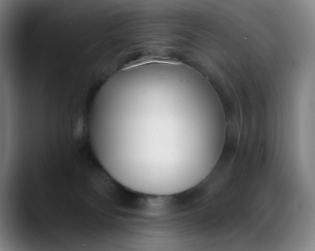 X0000088710134200706141455