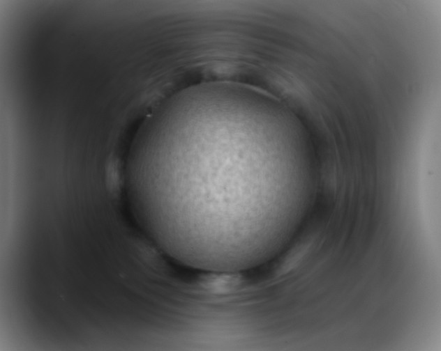 X0000088710135200706141455