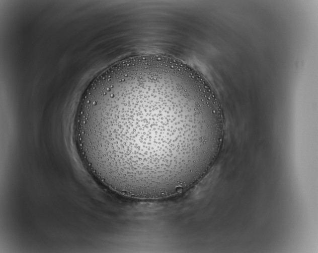 X0000088710145200706141455