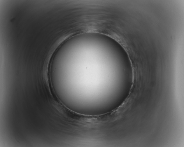 X0000088710147200706141455