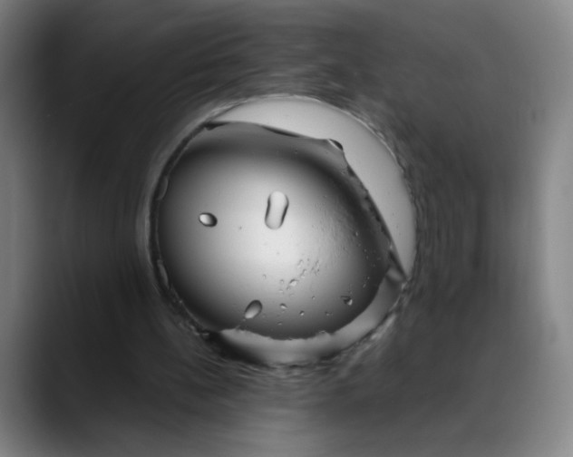 X0000088710148200706141455