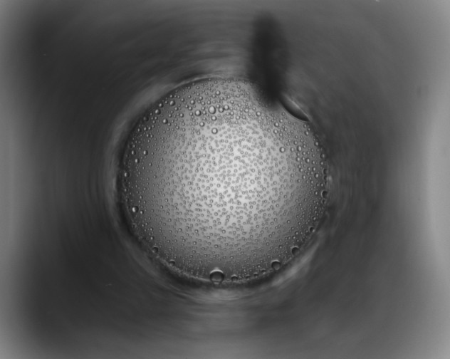 X0000088710149200706141455